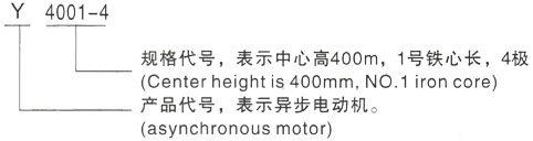 西安泰富西玛Y系列(H355-1000)高压YE2-180M-4三相异步电机型号说明