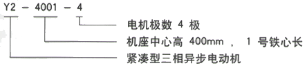 YR系列(H355-1000)高压YE2-180M-4三相异步电机西安西玛电机型号说明